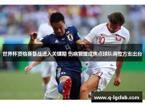 世界杯资格赛备战进入关键期 伤病管理成焦点球队调整方案出台 世界杯资格赛备战进入关键期 伤病管理成焦点球队调整方案出台